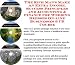 Book The Rich Man's Make An Extra Income, Success Principles and Accounting & Finance for Wedding Dresses On-line Businesses 3 CD Course