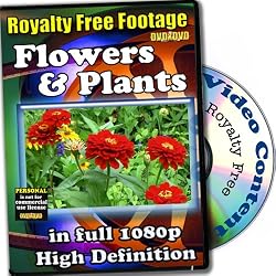 Flowers And Plants - Royalty Free Video Footage High Definition Collection, Personal License