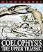 Coelophysis and Other Dinosaurs and Reptiles from the Upper Triassic