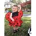 Help me choose a halloween costume!