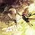 GRAVITY DAZE/重力的眩暈:上層への帰還において、彼女の内宇宙に生じた摂動 OST