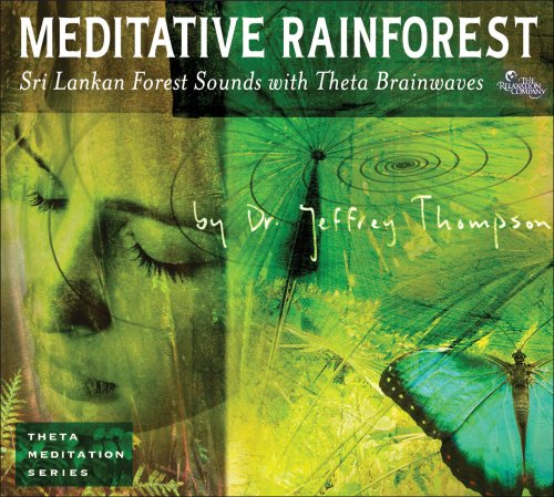 Meditative Rainforest