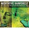 Meditative Rainforest