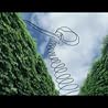 Artist Video