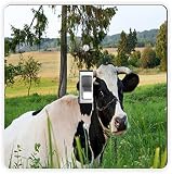 Rikki Knight Cow on Farmland-Single Toggle Light Switch Plate