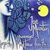 Image of album by Joe Martin