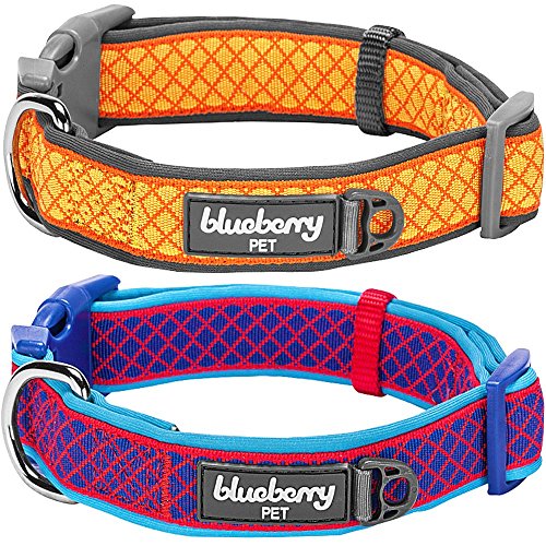 Blueberry Pet Collars For Dogs 3/4