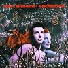Enchanted Enchanted