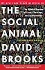 The Social Animal: The Hidden Sources of Love, Character, and Achievement