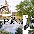 Best Friends