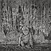 Roger Ballen: Boarding House