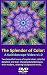 The Splendor of Color: A Kaleidoscope Video (DVD9 Edition - European PAL format)