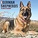 2016 Just German Shepherds Wall Calendar