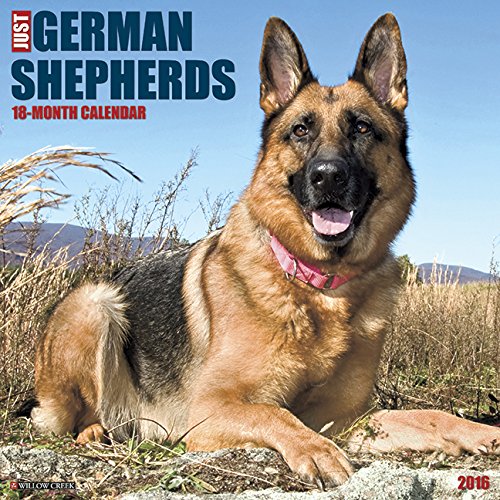 2016 Just German Shepherds Wall Calendar