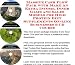 Book Massive Cash Flow Pack with Make An Extra Income, Inner Game and Sales Models for High Protein Diet Supplements On-line Businesses 3 CD Course