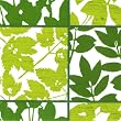 Ideal Home Range Greenhouse, Lime Lunch Napkin,  20-Count Package (Pack of 6)