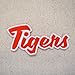 Tigers - Orange/White - Team Mascot - Words/Names - Iron on Applique/Embroidered Patch