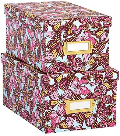 Anna Griffin Nesting Boxes in Flutterby Collection -- Set of 2 Boxes