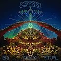 Big Moon Ritual
