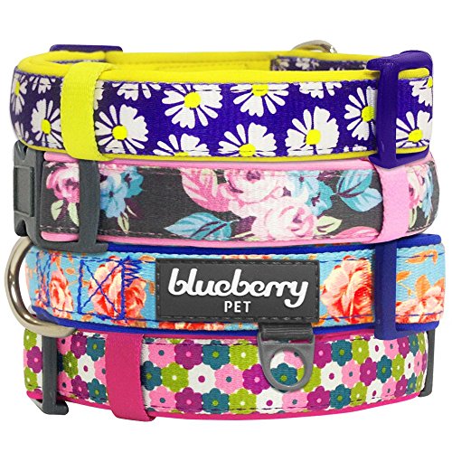 Blueberry Pet Collars For Dogs 3/4