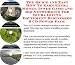 Book The Quick and Easy How To Earn Extra Money, Inner Game and Biz Networking for Scuba Diving Equipment Businesses 3 CD Power Pack