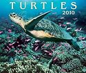 Turtles 2010 (Calendar)