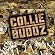Collie Buddz