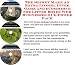 Search : The Secret Make An Extra Income, Inner Game and eCommerce for Litter Boxes Web Businesses 3 CD Power Pack