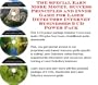 The Mega Generate Extra Cash, Marketing and Inner Game for Laser Detectors Web Biz 3 Course + Resource Guide