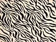 Rayon Sarong - Zebra Stripes