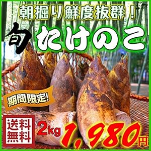 送料込 【美味しさに絶対の自信あり】米ぬか付き 朝掘り たけのこ 2kg箱