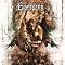 Best Evergrey in order