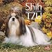 shih_tzu6shih tzu - Shih Tzu 2010 Wall Calendar 12 X 12