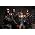 Thumbnail image of The Black Eyed Peas