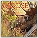Moose 2016 Calendar