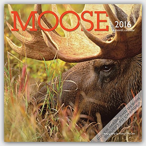 Moose 2016 Square 12x12 Wyman