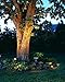 Malibu 50 Watt Floodlight Landscape Lights Outdoor Spotlight Waterproof Path Light Low Voltage Lighting with Spike Stand for Garden, Yard, Pathway, Lawn, Driveway Outdoor Lighting 8301-9601-01