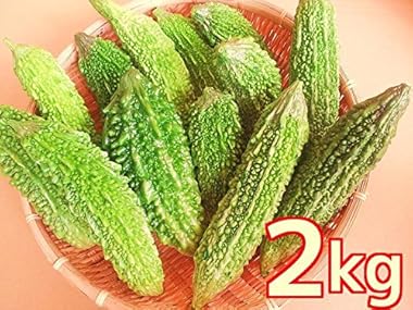 産地直送(沖縄県) 新鮮 ワケあり　ゴーヤ 2kg(8～10本)