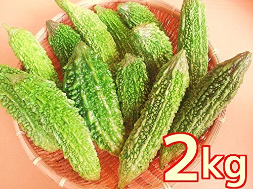産地直送(沖縄県) 新鮮 ワケあり ゴーヤ 2kg(8~10本)