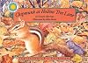 Chipmunk at Hollow Tree Lane