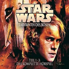 Labyrinth des Bösen-die Komplette Hörspielserie [Edizione: Germania] [Import]