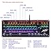 LINGBAO JIGUANSHI Mechanical Keyboard 87 Keys Computer Wired USB Backlit Metal Panels Gaming Keyboard (Mixed Light, Silver Bezel, Black Cap, Black Switches)