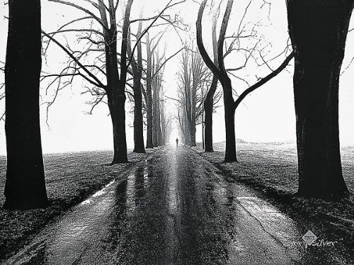 Jogger, Westport, Connecticut by Henri Silberman