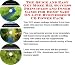 The Quick and Easy Get More Biz, Success Principles and Inner Game for Hemp Yarn On-line Businesses 3 CD Power Pack