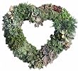 Succulent Heart Living Wreath - 11"