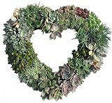 Succulent Heart Living Wreath - 11