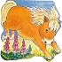 Pocket Pony (Pocket Pals Board Books)