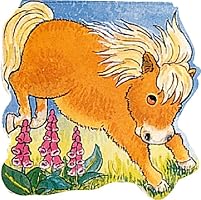 Pocket Pony (Pocket Pals Board Books)