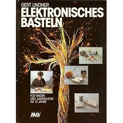 Elektronisches Basteln. F�r Kinder und Jugendliche ab 12 Jahre