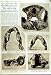 1949 ARCHAEOLOGY AFRICA MAN APE-MAN JAW PARANTHROPUS